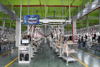 新動能澎湃新活力！桐鄉今年引進數字經濟項目253個，網絡技術服務引領轉型