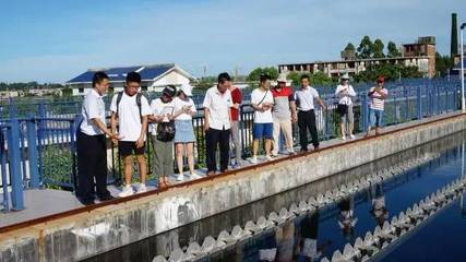 巡訪東山溪流，看我材料河小禹——污水處理與再生利用實踐探索