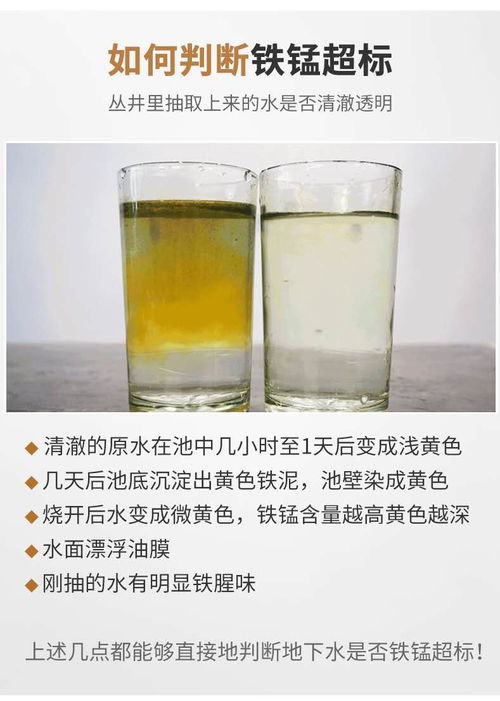 河口過(guò)濾泥沙的純凈水設(shè)備成本解析與凈源水處理設(shè)備廠家概覽